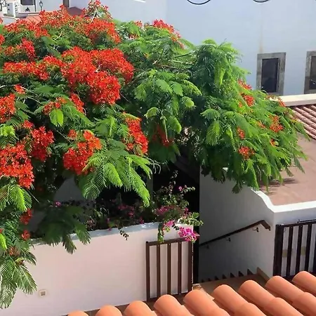 Garoe Ferienhaus Puerto de las Nieves