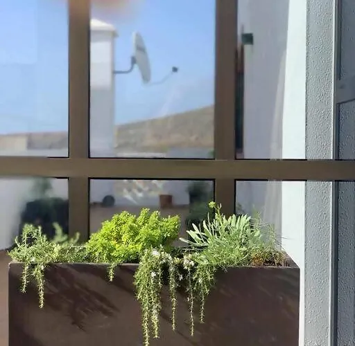 Hébergement de vacances Garoé