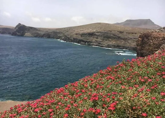 Garoé * Puerto de las Nieves