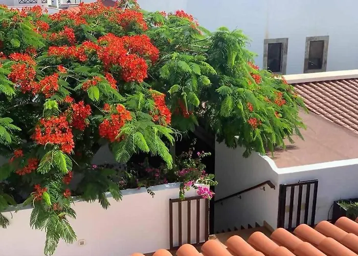 Garoé Hébergement de vacances Puerto de las Nieves